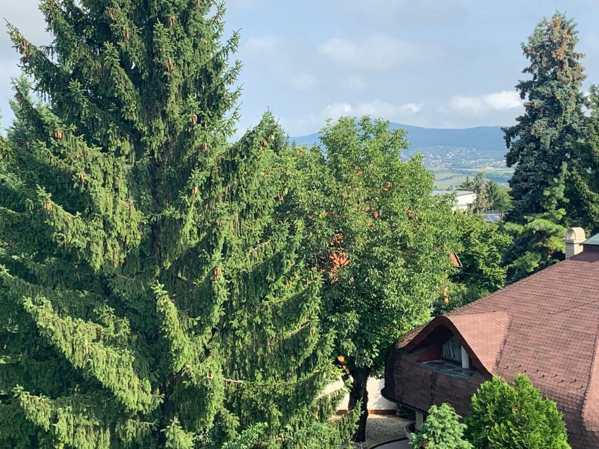 Maharaja Mountain Palace With Free Privat Parking And Garden Budapest Exterior photo